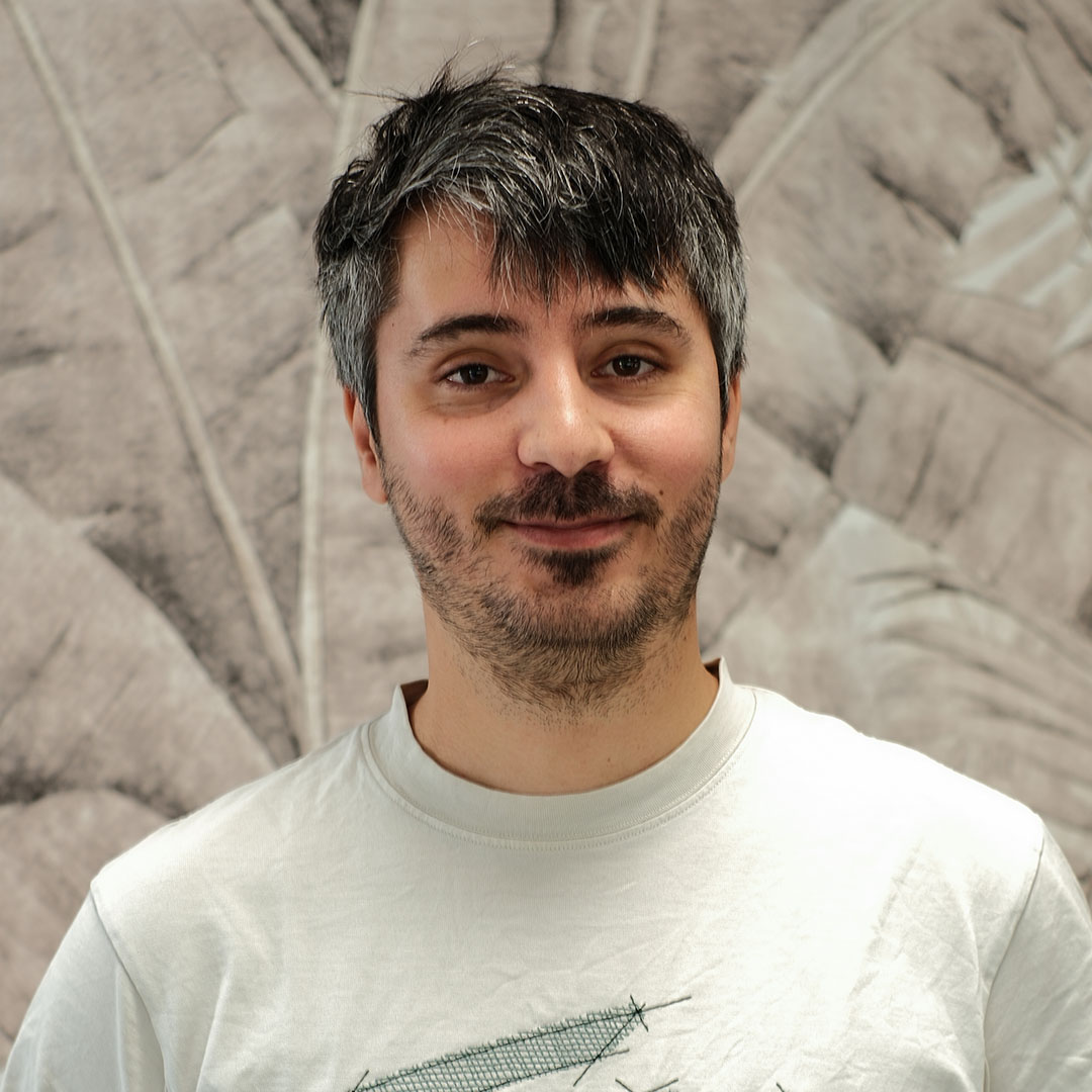 Martin &ndash; Software Developer Analyst